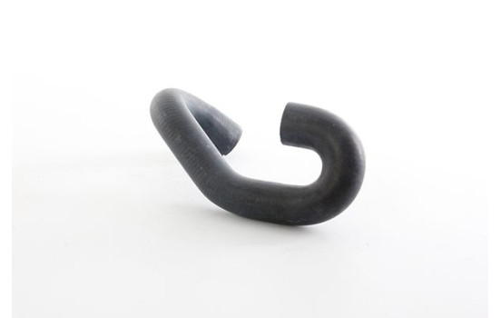radiator hose, Image 2