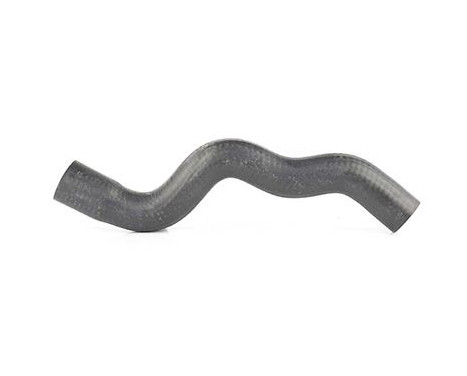 radiator hose, Image 2