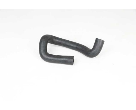 radiator hose, Image 2