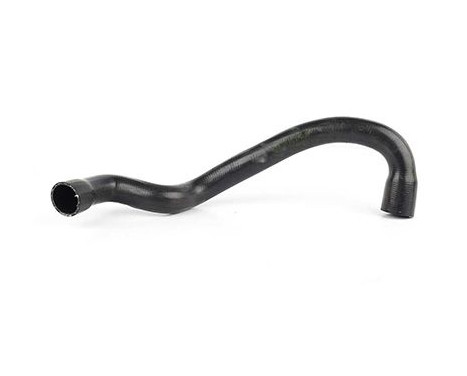 radiator hose, Image 2
