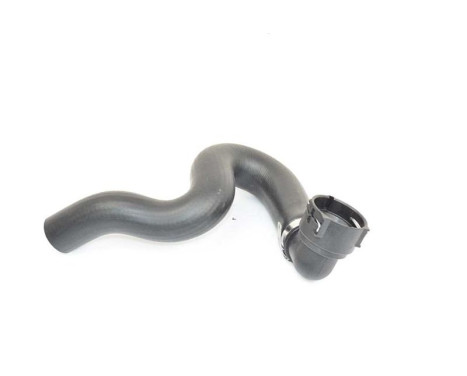 radiator hose, Image 2