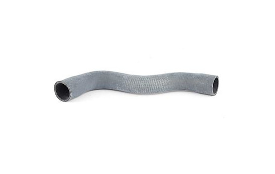 radiator hose, Image 2