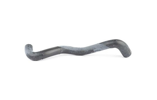 radiator hose, Image 2