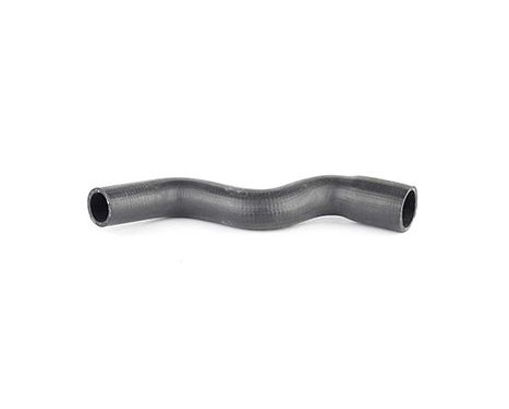 radiator hose, Image 2