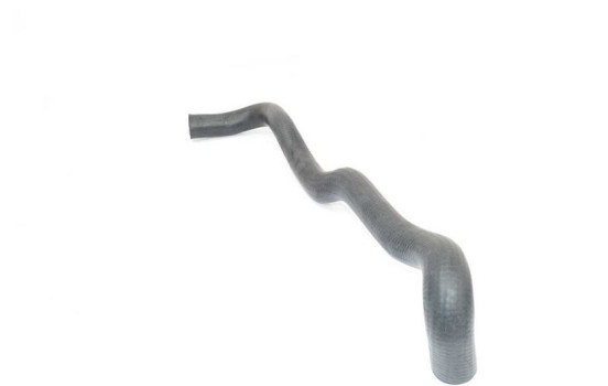 radiator hose, Image 2