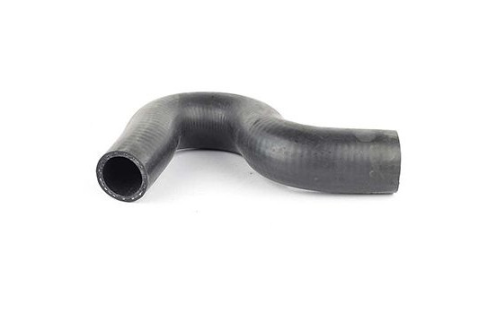 radiator hose, Image 2