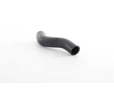 radiator hose, Image 2