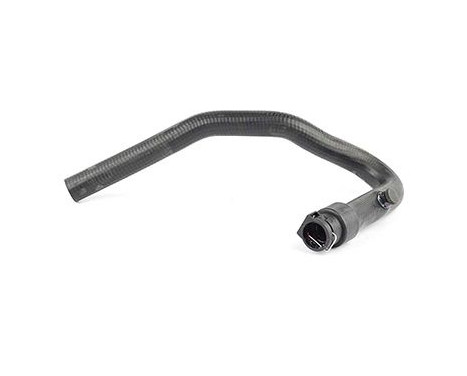 radiator hose, Image 2