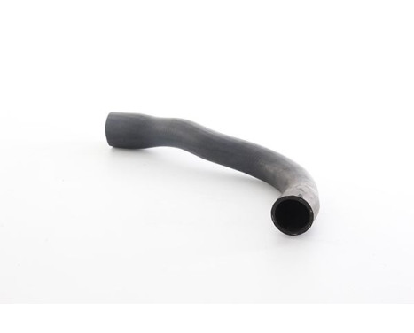 radiator hose, Image 2