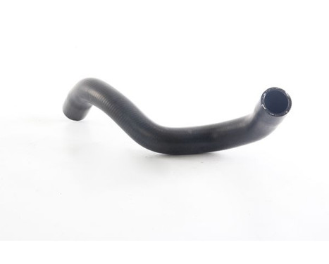 radiator hose, Image 2