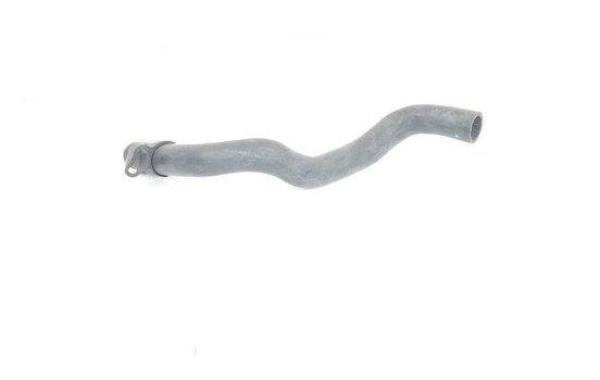 radiator hose, Image 2