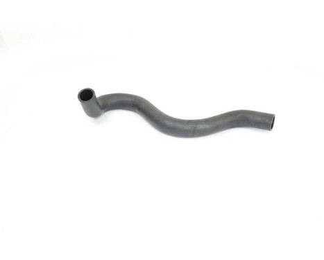 radiator hose, Image 2