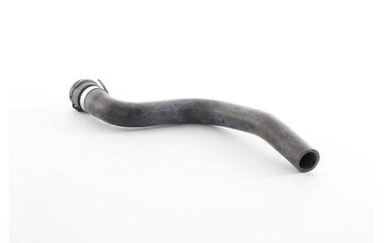 radiator hose, Image 2