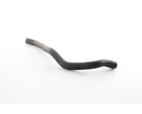 radiator hose, Image 2