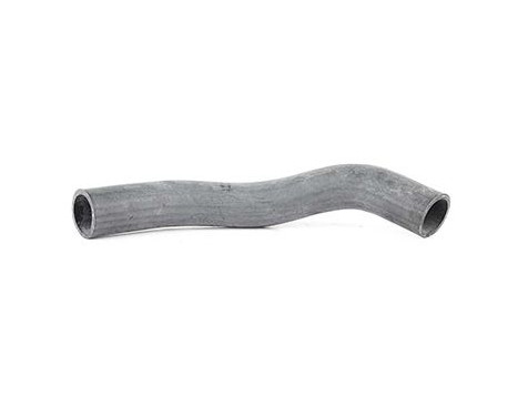 radiator hose, Image 2