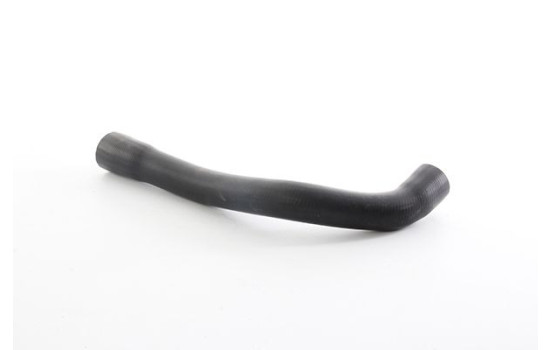 radiator hose, Image 2