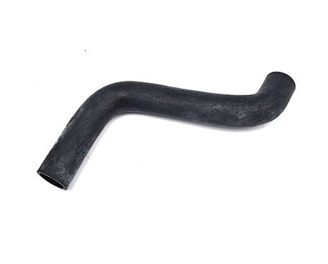 radiator hose, Image 2