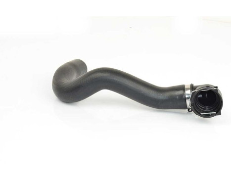 radiator hose, Image 2