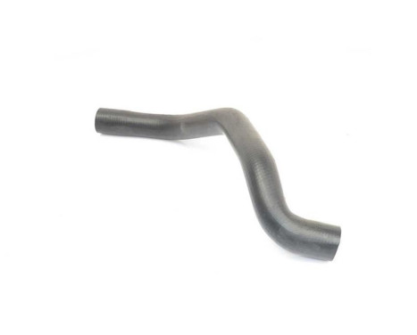radiator hose, Image 2