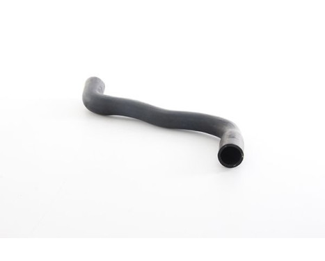 radiator hose, Image 2