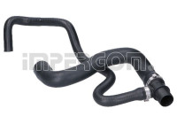 Radiator hose