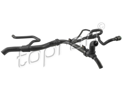 Radiator Hose