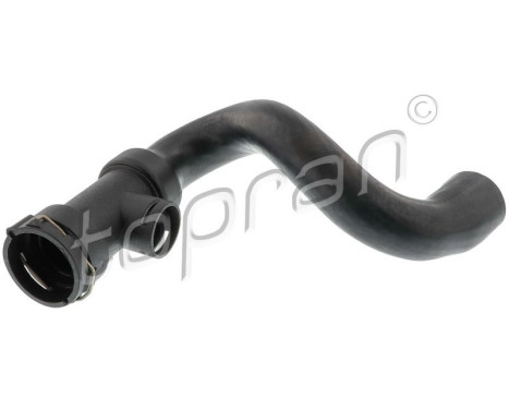 Radiator Hose