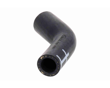 Radiator hose, Image 5