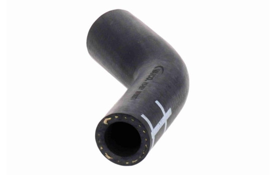 Radiator hose, Image 5