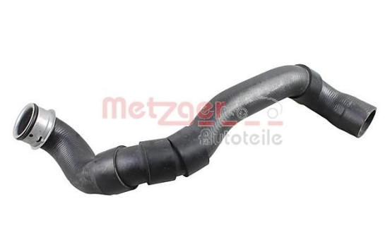 Radiator hose