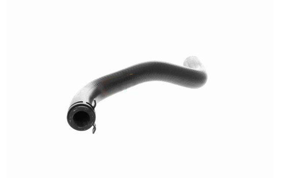 Radiator hose, Image 3