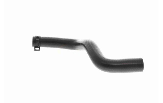 Radiator hose, Image 5