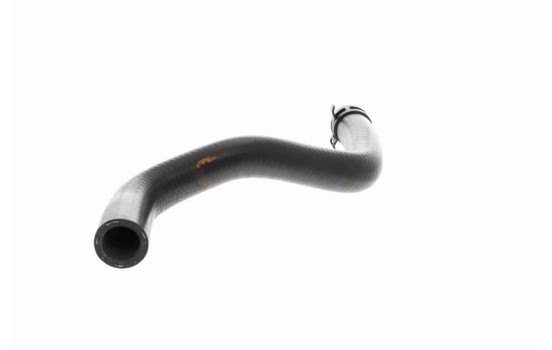 Radiator hose, Image 7