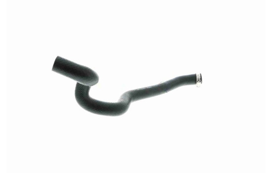 Radiator hose, Image 10