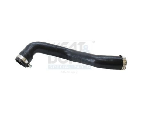 Radiator hose
