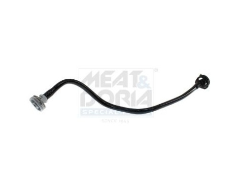 Radiator hose