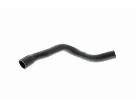 Radiator hose, Image 2