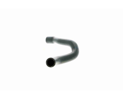 Radiator hose, Image 4