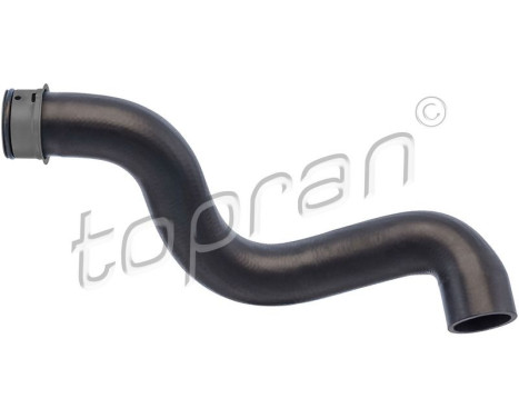 Radiator Hose