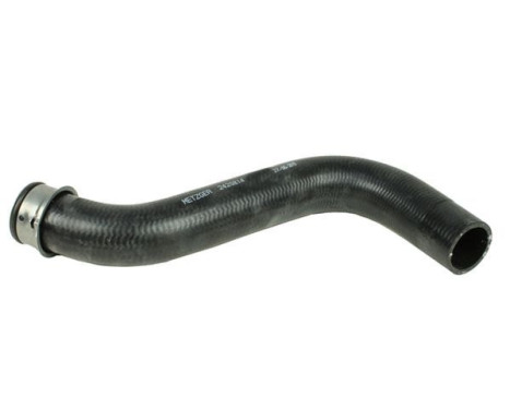 Radiator hose
