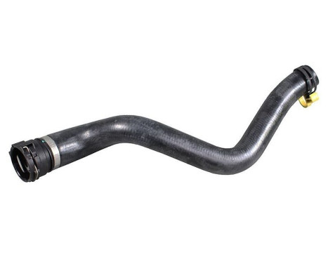 Radiator hose