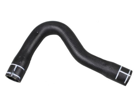 Radiator hose