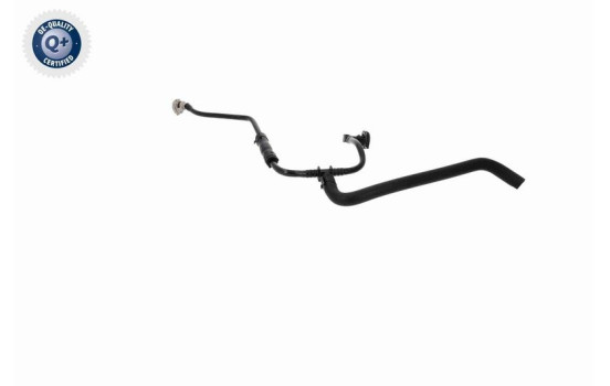 Radiator hose, Image 4
