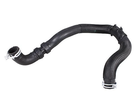 Radiator hose, Image 2