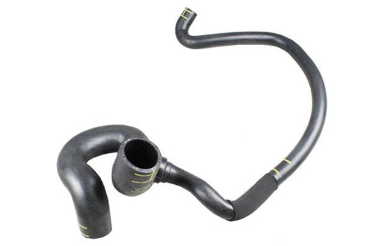 Radiator hose