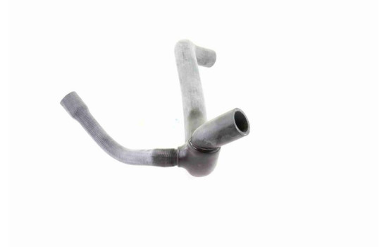 Radiator hose, Image 4