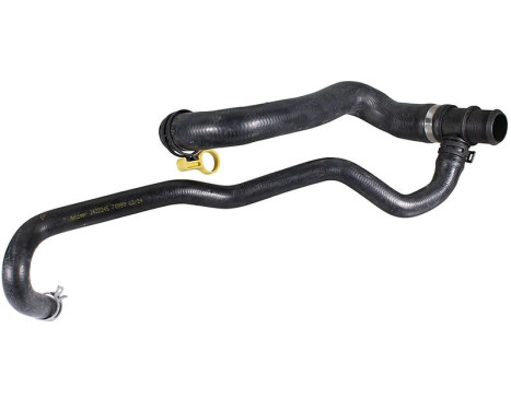 Radiator hose
