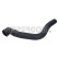 Radiator Hose, Thumbnail 2