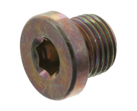 Screw Plug, coolant line 05280 FEBI