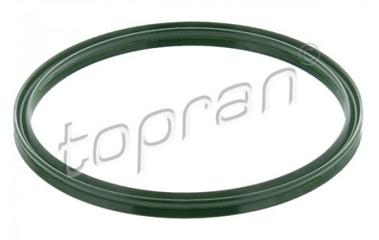 Seal Ring, turbo air hose